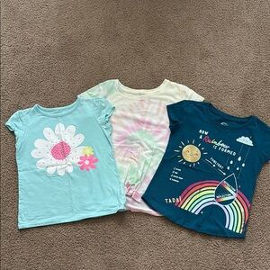 Lot of 3 Short Sleeve Tees Playful Designs Sz 4/5